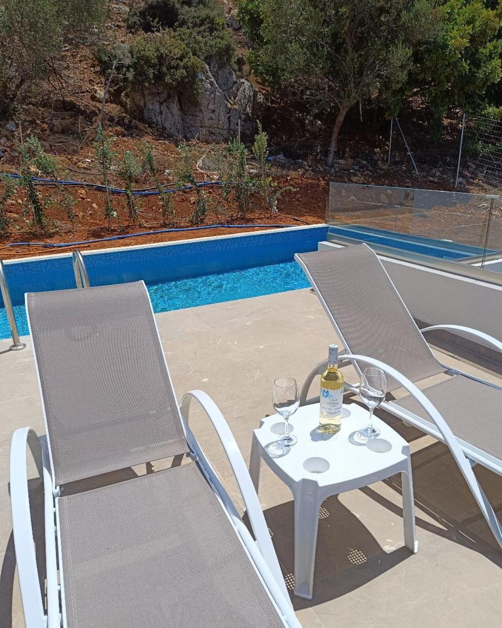 Isabel Artemis Crete - Luxury Sea Views Villas Nopigia المظهر الخارجي الصورة